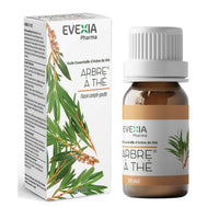 Huile Essentielle Arbre à Thé – Peau Nette & Purifiante, Melaleuca Alternifolia, Aromathérapie, Diffusion & Application Cutanée, Antiseptique, Défenses Naturelles, Cuir Chevelu, Peaux à Imperfections, Flacon 10 ml