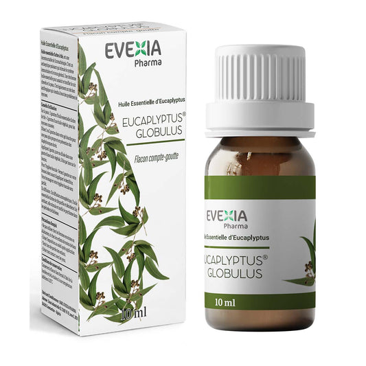 HUILE ESSENTIELLE D'EUCALYPTUS GLUBULUS