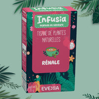 Infusia Rénale – Tisane Bon Fonctionnement des Reins, Thé Vert, Guduchi & Coriandre, Détox, Anti-Oxydant, Drainage, Élimination, Adultes