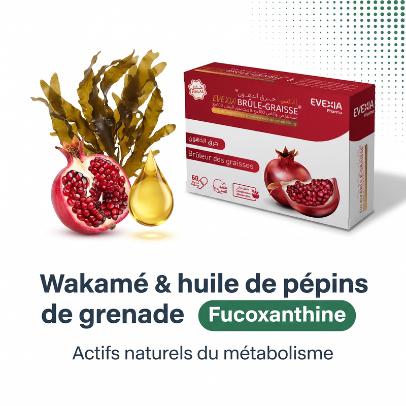 Brûle Graisse - actifs FR