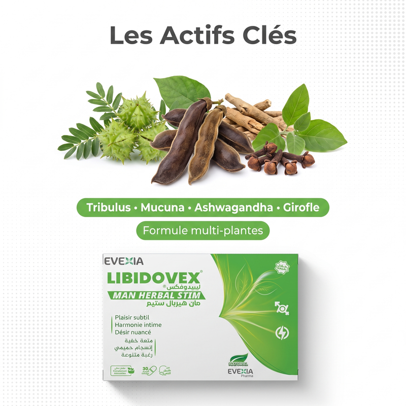 Libidovex - actifs