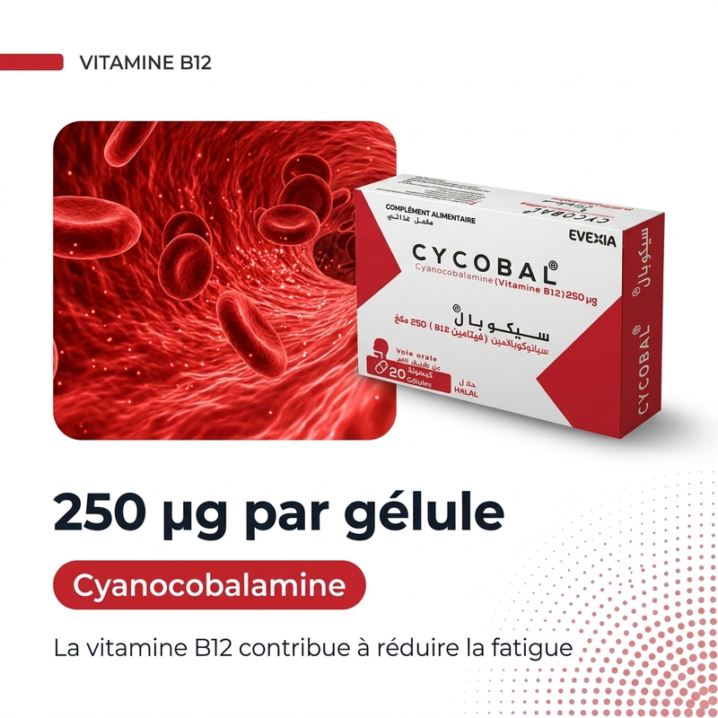 Cycobal B12 - actif FR