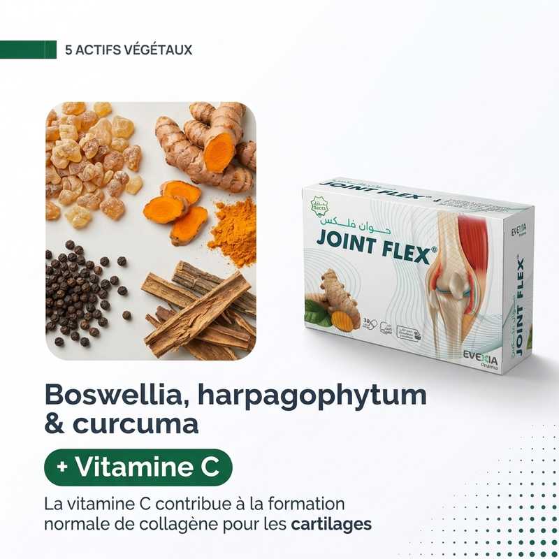Joint Flex - actifs FR