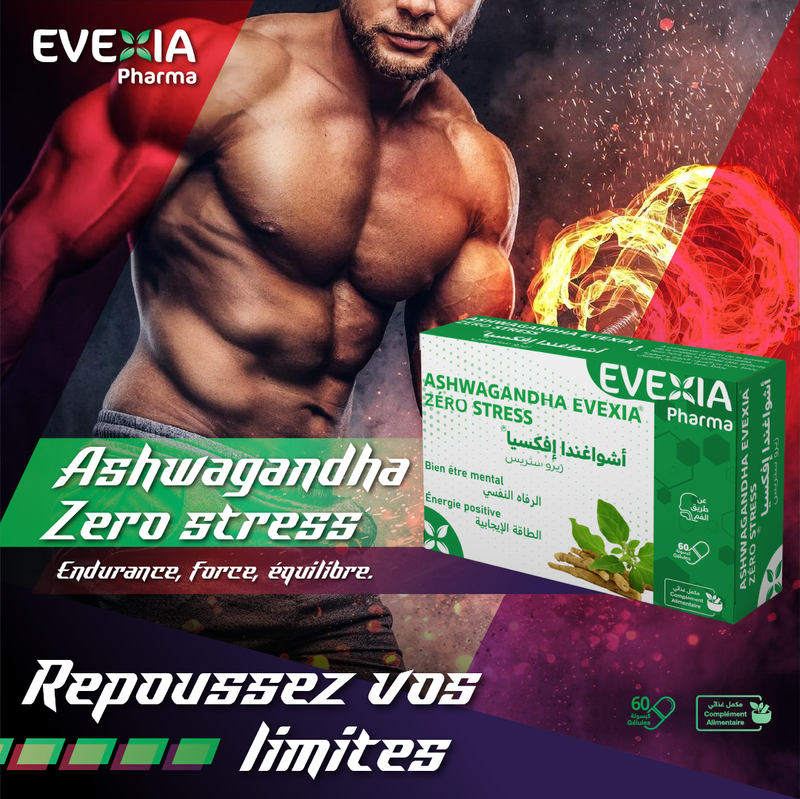 Pack Musculation Pro – Performance & Gains – 5 Produits, Créatine, Magnésium & Ashwagandha, Oméga 3, Anti-Fatigue, Récupération Musculaire, Endurance, Tonus, Sportifs, Homme