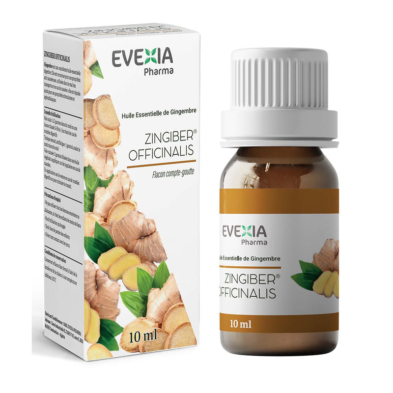 Huile Essentielle de Gingembre – Digestion & Tonus, Aromathérapie, Massage & Diffusion, Digestive, Anti-Nausées, Circulation, Stimulante, Anti-Oxydant, Flacon 10 ml
