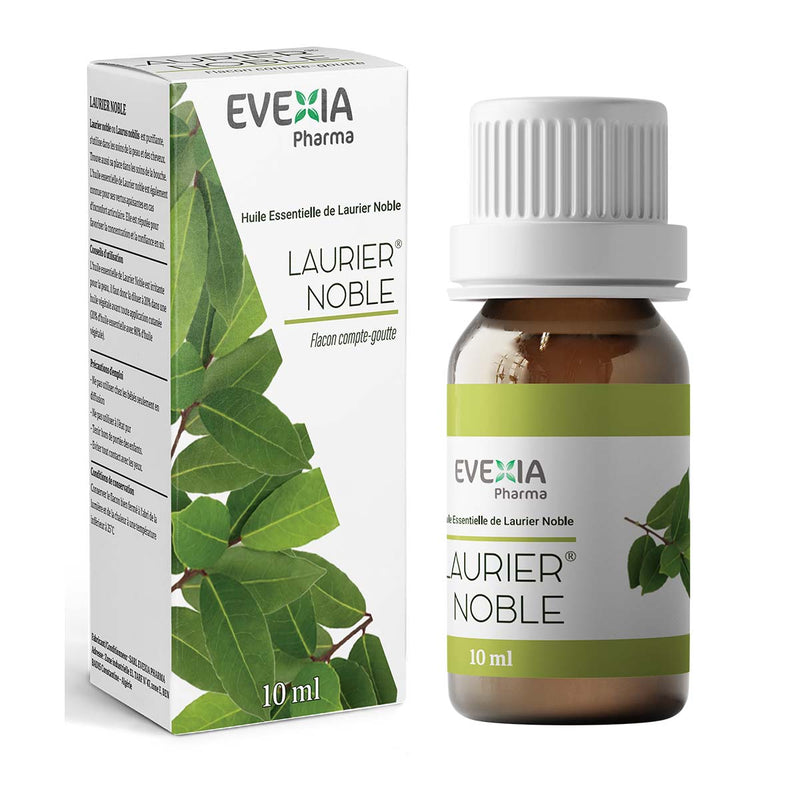 Huile Essentielle Laurier Noble – Peau, Cheveux & Apaisement, Laurus Nobilis, Aromathérapie, Application Cutanée & Massage, Purifiante, Confort Articulaire, Concentration, Flacon 10 ml