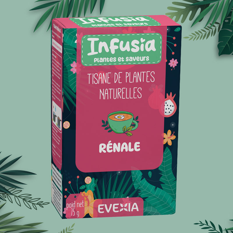 Infusia Rénale – Tisane Bon Fonctionnement des Reins, Thé Vert, Guduchi & Coriandre, Détox, Anti-Oxydant, Drainage, Élimination, Adultes