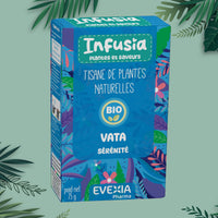Infusia Vata Sérénité – Tisane Calme & Clarté Mentale, Gingembre, Réglisse & Brahmi, Détente, Système Nerveux, Concentration, Immunité, Adultes, Infusion de Plantes
