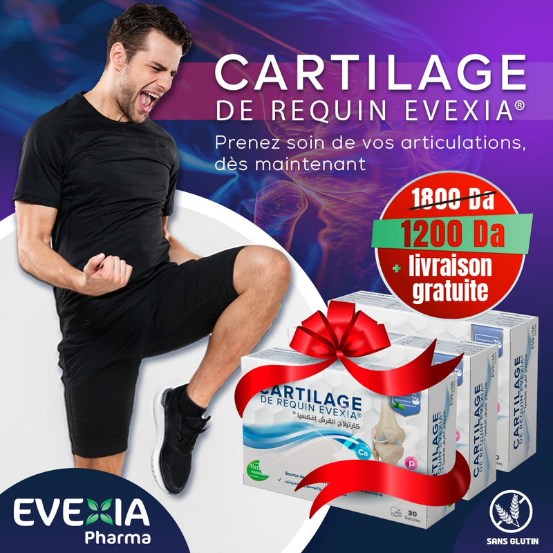 Pack 3 Boîtes Cartilage de Requin – Cure Confort Articulaire, Cartilage de Requin 500 mg & Vitamines B, Chondroïtine & Glucosamine, Mobilité, Souplesse, Cartilage, Adultes, 3 x 30 Gélules