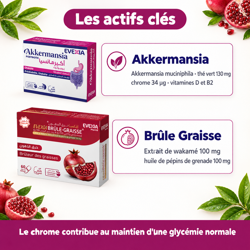 Akkermansia + Brûle Graisse – actifs clés (FR)