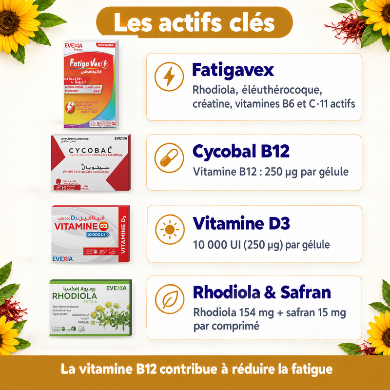 Coffret Fatigavex & Vitamines – actifs clés (FR)