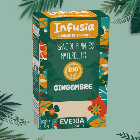 Infusia Gingembre