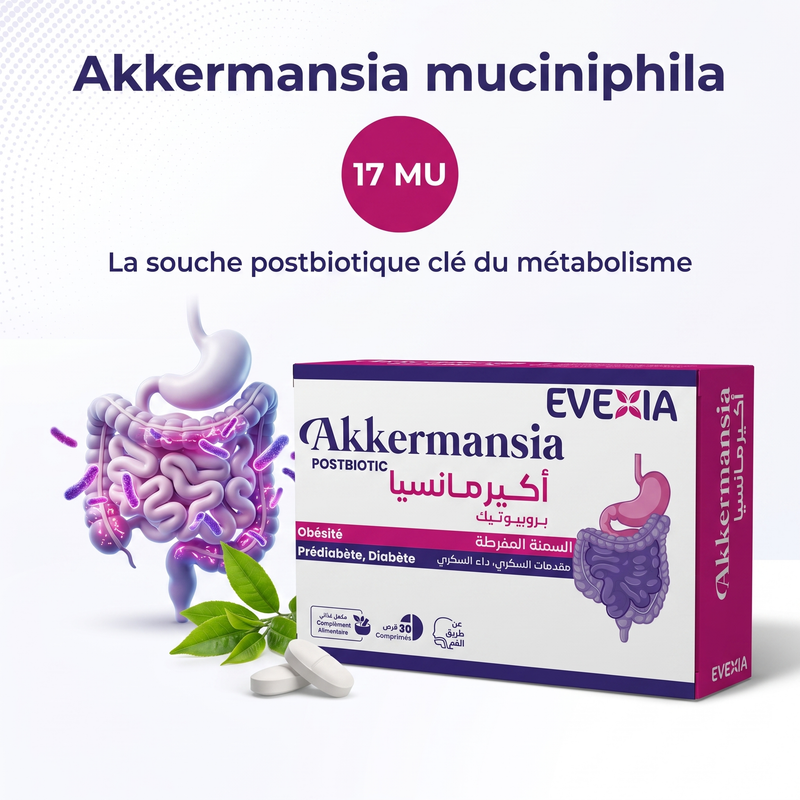 Akkermansia - souche FR