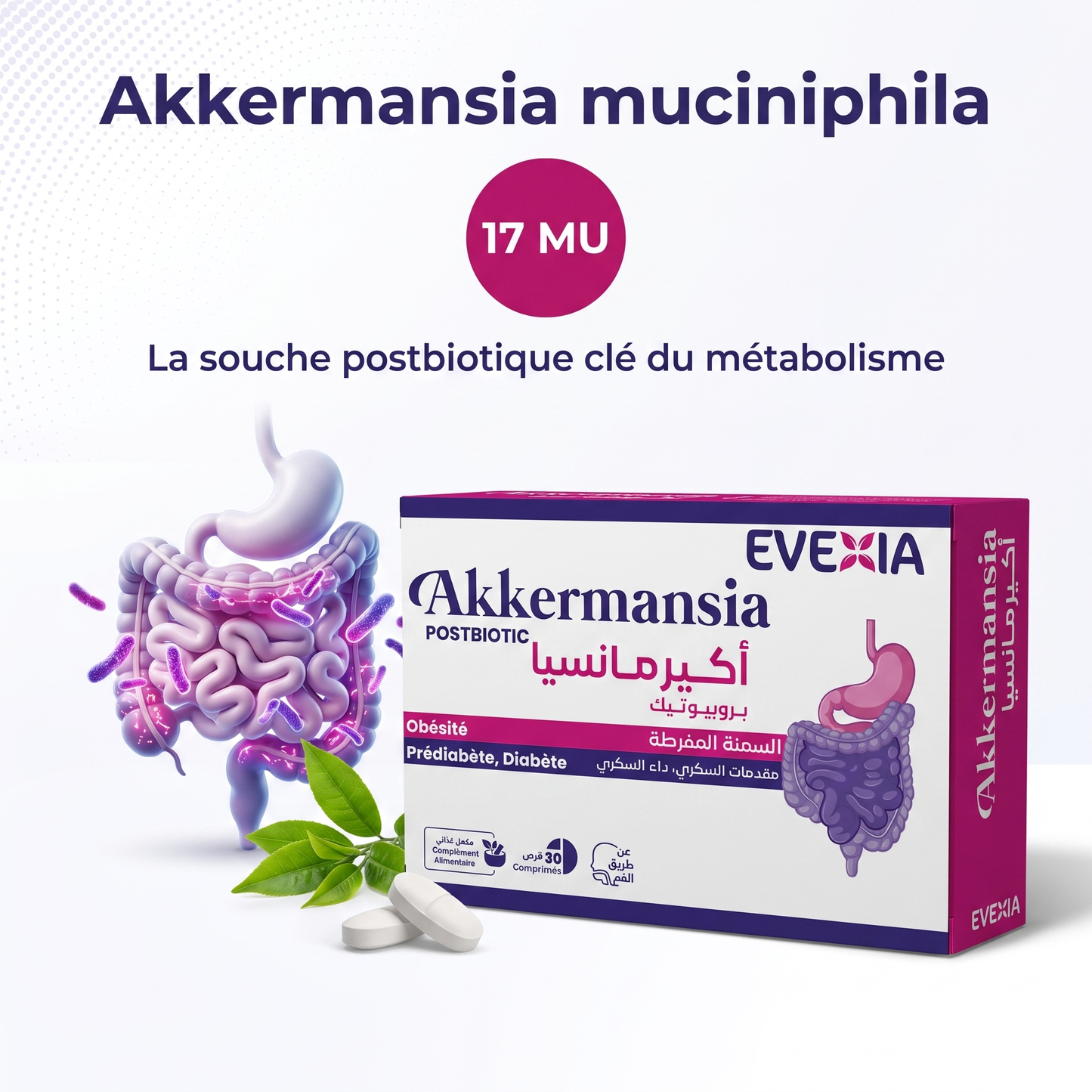 Akkermansia Evexia