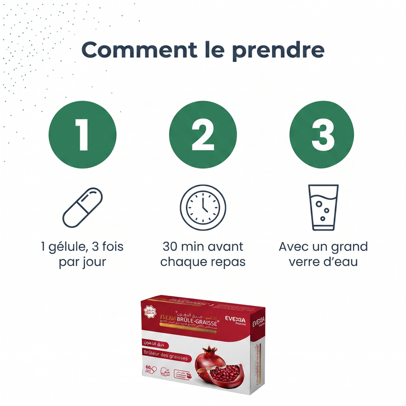Brûle Graisse - mode d'emploi FR