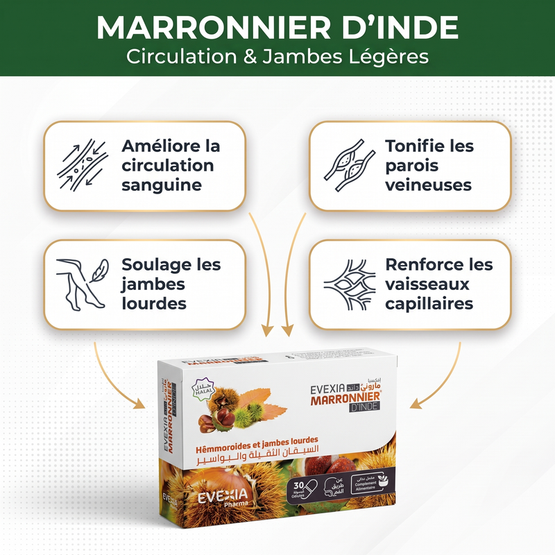 Marronnier d'Inde - bénéfices circulation