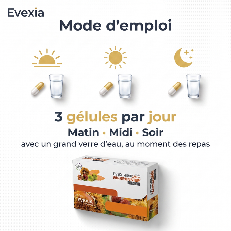 Marronnier d'Inde - mode d'emploi
