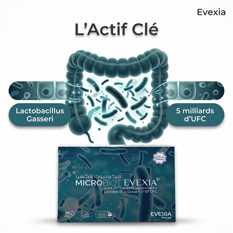 Microbiot - actif Lactobacillus