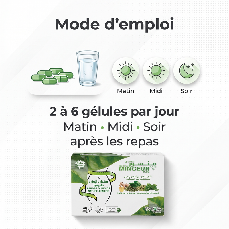 Minceur Mode d'emploi