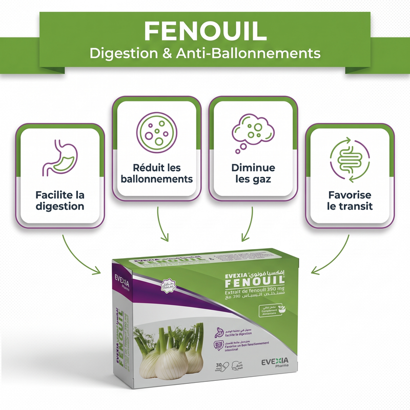 Fenouil - bénéfices digestion