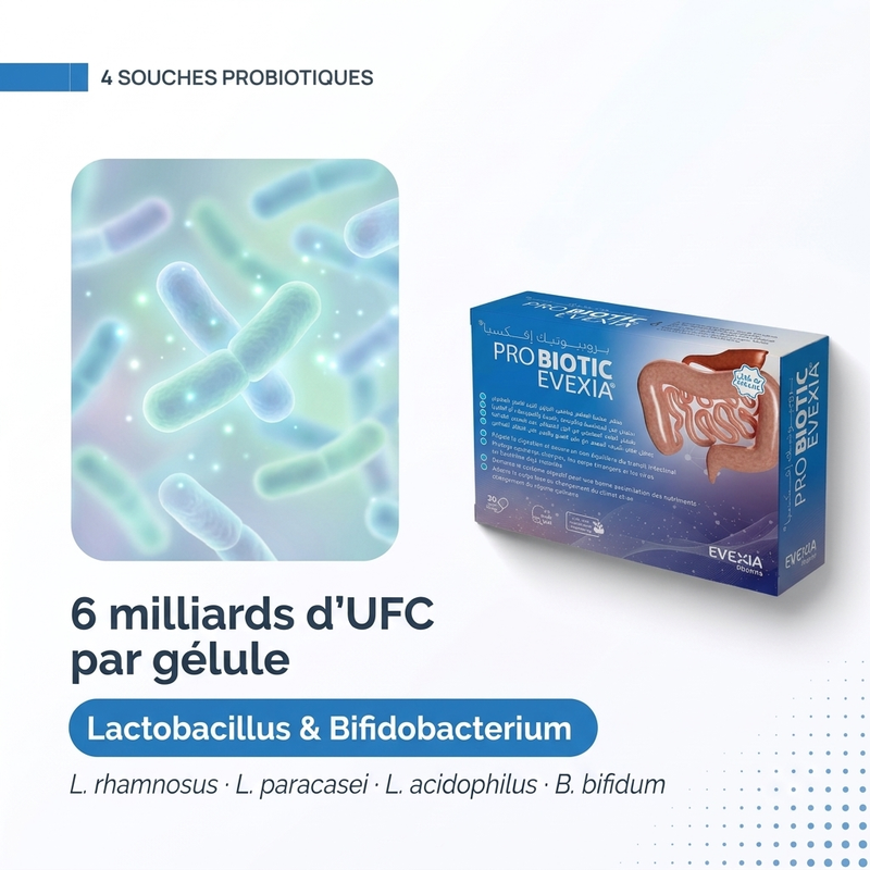 Probiotic - actifs FR