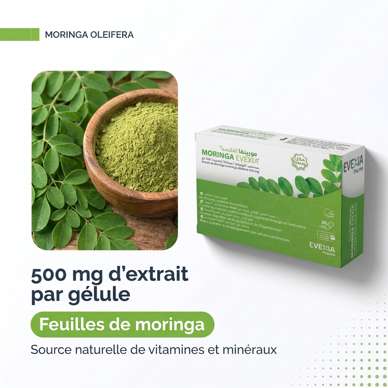 Moringa 500 mg - actif FR