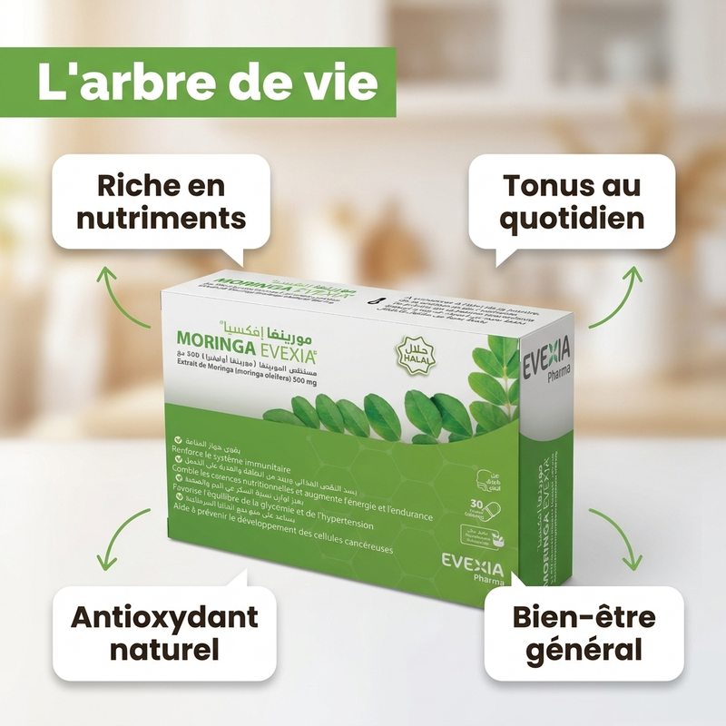 Moringa 500 mg - bénéfices FR