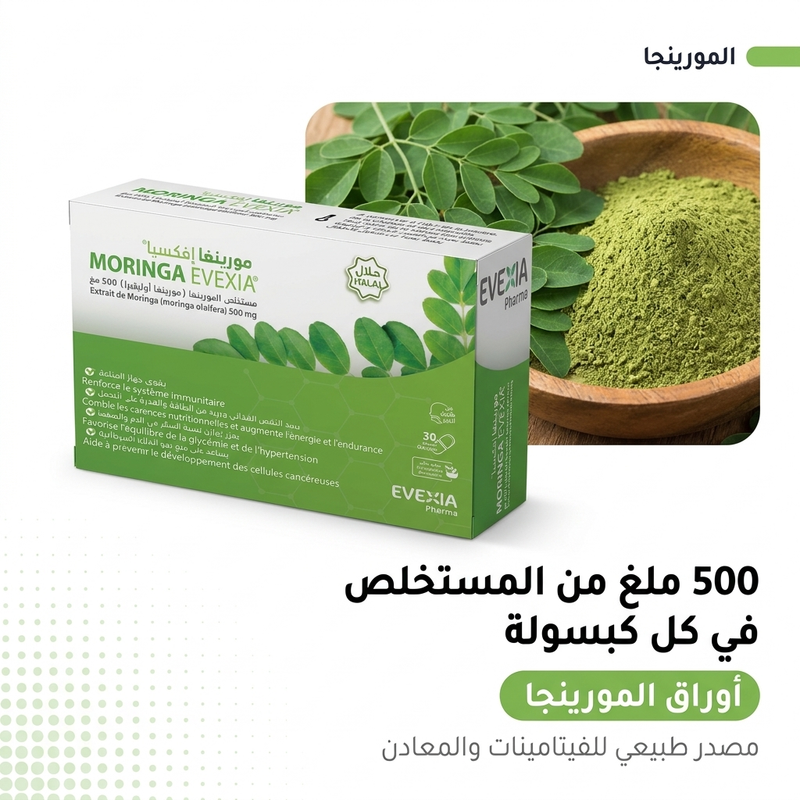 Moringa 500 mg - actif AR