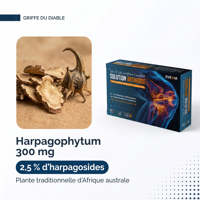 Solution Arthrose - actif FR