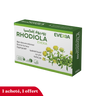 Rhodiola & Safran – Équilibre Émotionnel & Anti-Stress, Rhodiola 154 mg & Safran 15 mg, Plantes Adaptogènes, Humeur, Fatigue Mentale, Concentration, Vitalité, Adultes